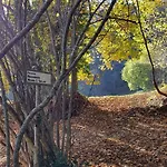 Roccamaia مزرعة للإقامة