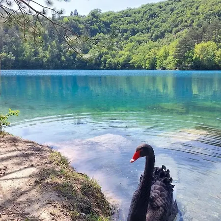 Roccamaia * Pievebovigliana
