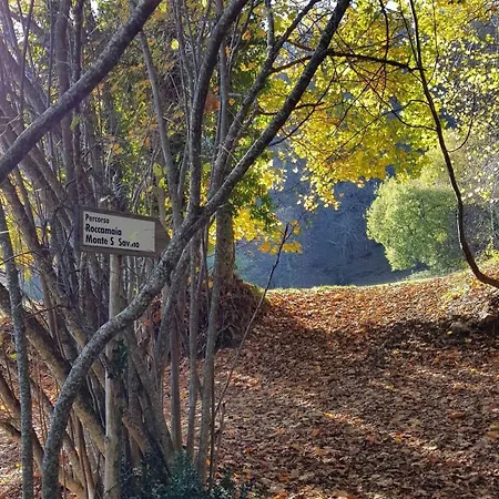 Roccamaia Alloggio per agriturismo